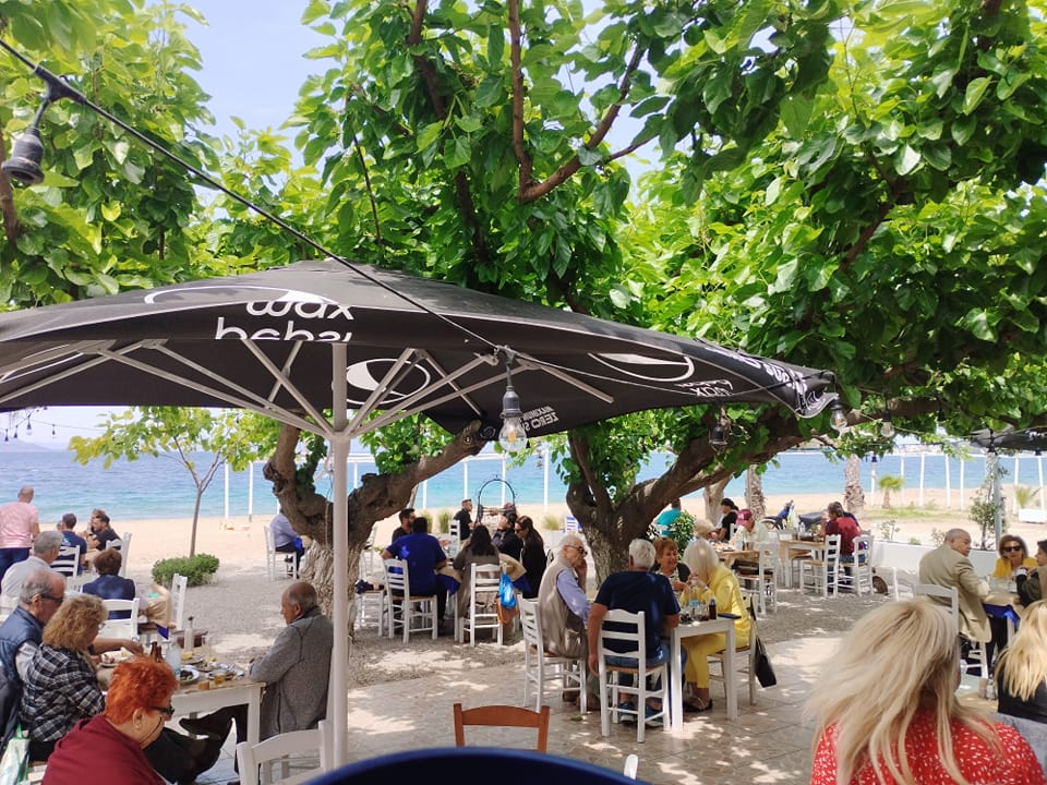 Ταβέρνα-Ουζερί «ΤΣΙΠΟΥΡΟΜΑΧΙΕΣ» Ταβέρνα-Ουζερί «ΤΣΙΠΟΥΡΟΜΑΧΙΕΣ»